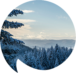 winter
